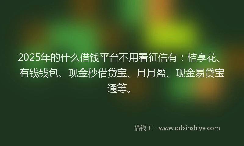 2025年的什么借钱平台不用看征信有：桔享花、有钱钱包、现金秒借贷宝、月月盈、现金易贷宝通等。