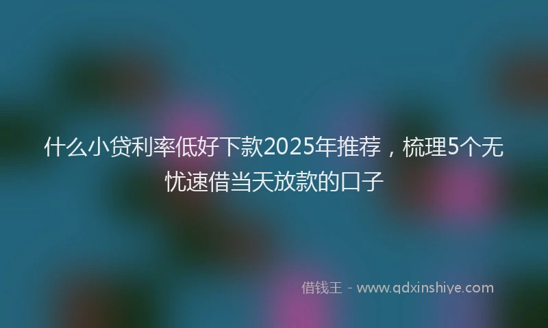 什么小贷利率低好下款2025年推荐，梳理5个无忧速借当天放款的口子