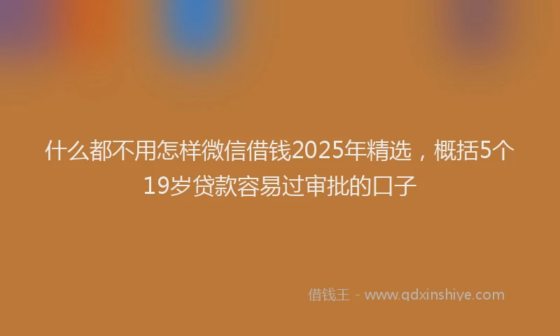 什么都不用怎样微信借钱2025年精选，概括5个19岁贷款容易过审批的口子