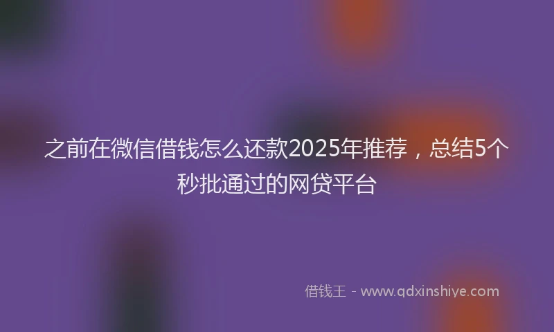 之前在微信借钱怎么还款2025年推荐，总结5个秒批通过的网贷平台