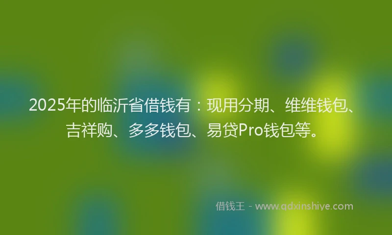 2025年的临沂省借钱有：现用分期、维维钱包、吉祥购、多多钱包、易贷Pro钱包等。