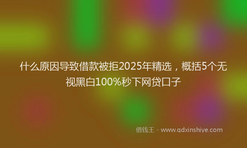 什么原因导致借款被拒2025年精选，概括5个无视黑白100%秒下网贷口子