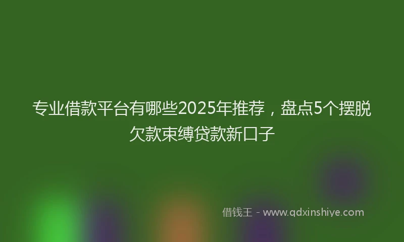 专业借款平台有哪些2025年推荐，盘点5个摆脱欠款束缚贷款新口子
