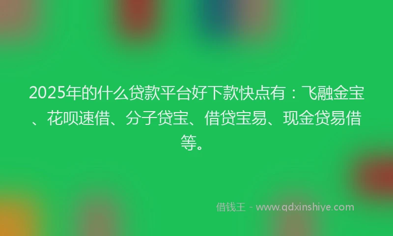 2025年的什么贷款平台好下款快点有：飞融金宝、花呗速借、分子贷宝、借贷宝易、现金贷易借等。