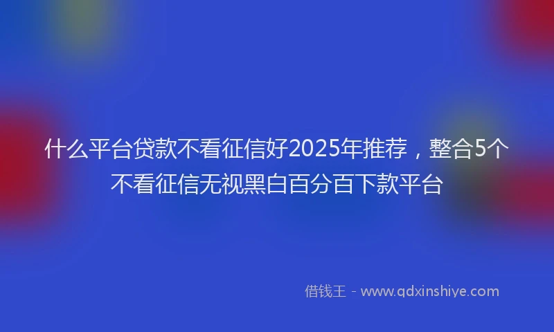 什么平台贷款不看征信好2025年推荐，整合5个不看征信无视黑白百分百下款平台