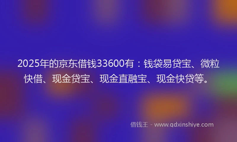 2025年的京东借钱33600有：钱袋易贷宝、微粒快借、现金贷宝、现金直融宝、现金快贷等。