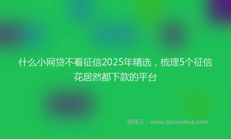 什么小网贷不看征信2025年精选，梳理5个征信花居然都下款的平台