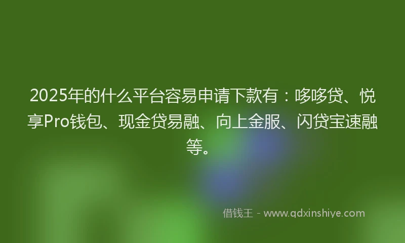 2025年的什么平台容易申请下款有：哆哆贷、悦享Pro钱包、现金贷易融、向上金服、闪贷宝速融等。