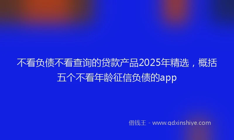 不看负债不看查询的贷款产品2025年精选，概括五个不看年龄征信负债的app