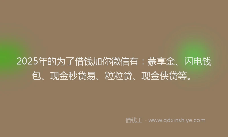 2025年的为了借钱加你微信有：蒙享金、闪电钱包、现金秒贷易、粒粒贷、现金侠贷等。