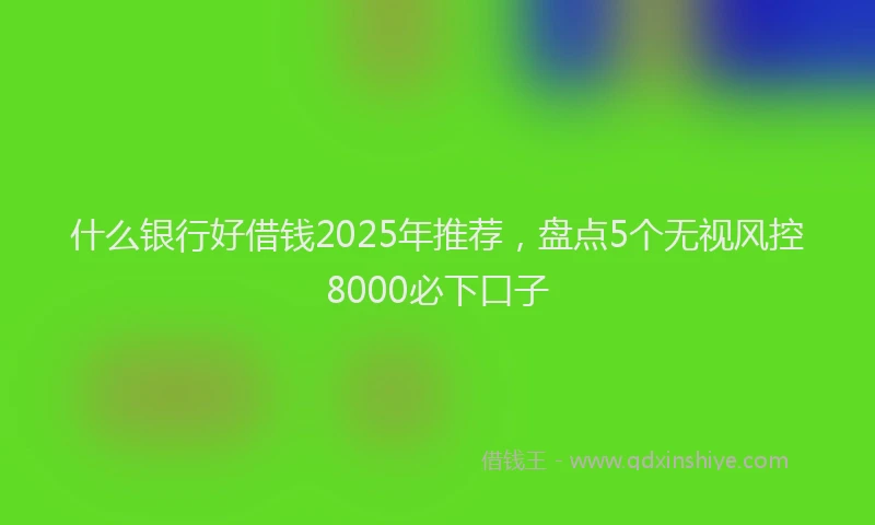 什么银行好借钱2025年推荐，盘点5个无视风控8000必下口子