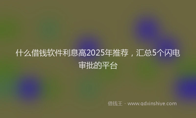 什么借钱软件利息高2025年推荐，汇总5个闪电审批的平台