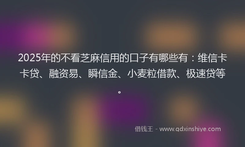 2025年的不看芝麻信用的口子有哪些有：维信卡卡贷、融资易、瞬信金、小麦粒借款、极速贷等。