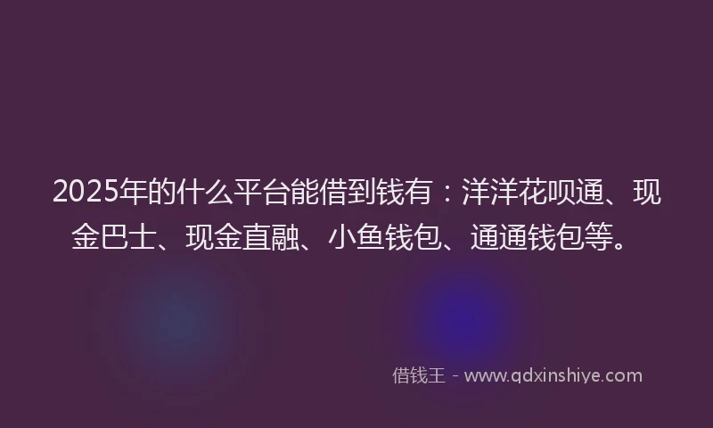 2025年的什么平台能借到钱有：洋洋花呗通、现金巴士、现金直融、小鱼钱包、通通钱包等。