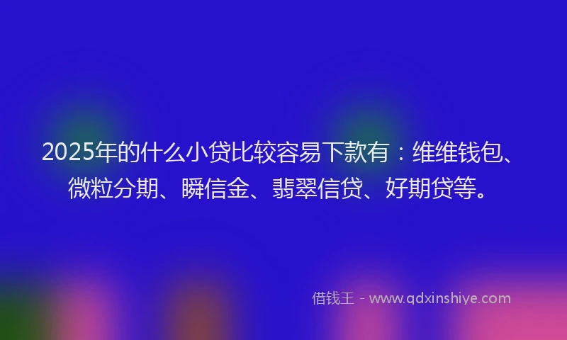2025年的什么小贷比较容易下款有：维维钱包、微粒分期、瞬信金、翡翠信贷、好期贷等。