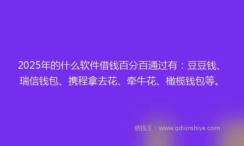 2025年的什么软件借钱百分百通过有：豆豆钱、瑞信钱包、携程拿去花、牵牛花、橄榄钱包等。