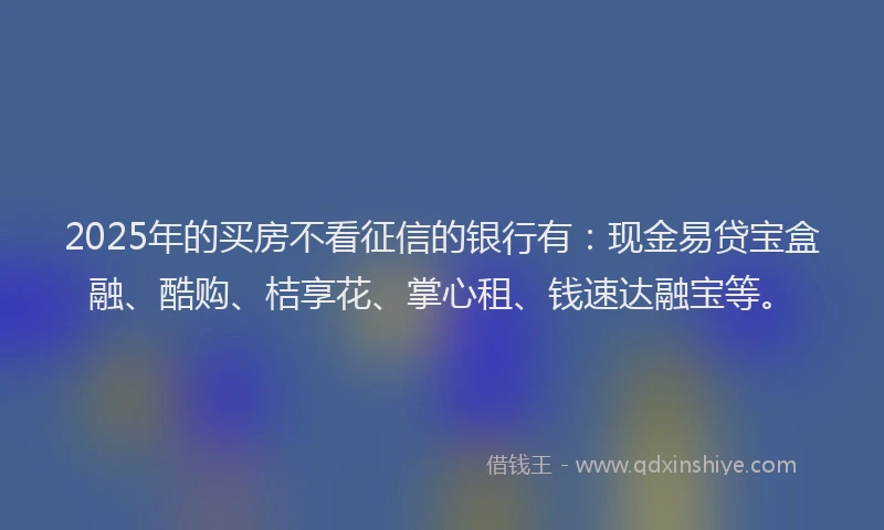 2025年的买房不看征信的银行有：现金易贷宝盒融、酷购、桔享花、掌心租、钱速达融宝等。