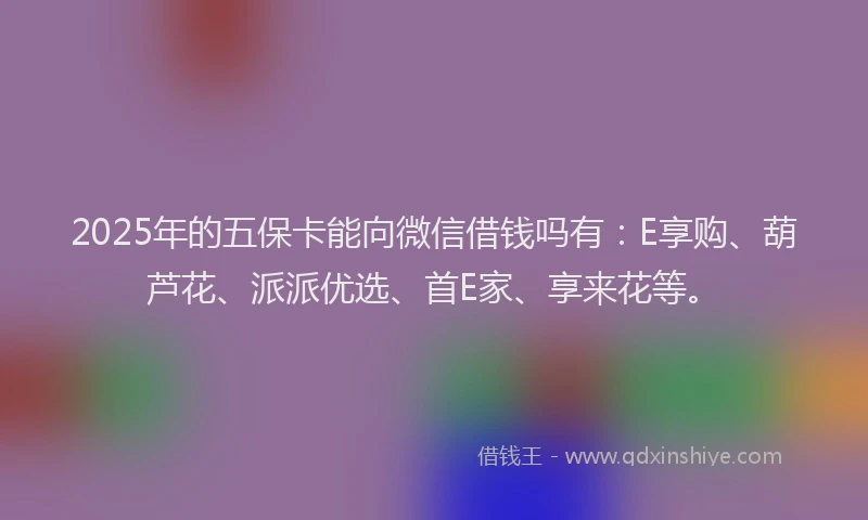 2025年的五保卡能向微信借钱吗有：E享购、葫芦花、派派优选、首E家、享来花等。