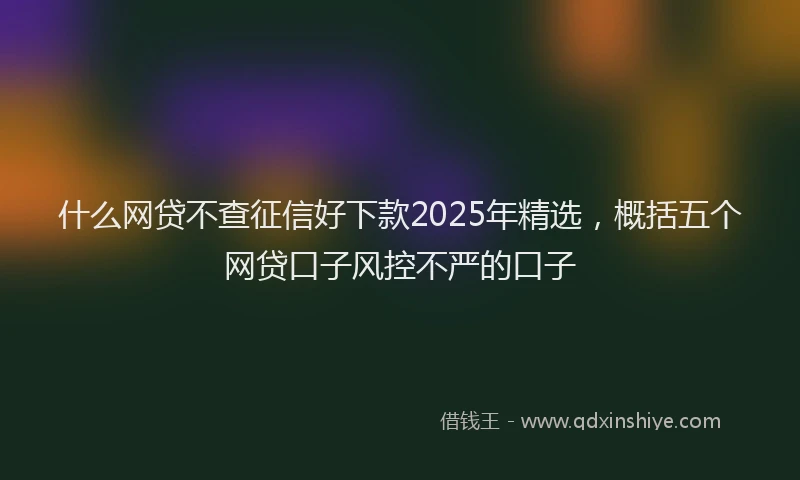 什么网贷不查征信好下款2025年精选，概括五个网贷口子风控不严的口子