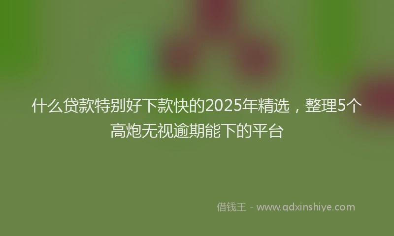 什么贷款特别好下款快的2025年精选，整理5个高炮无视逾期能下的平台
