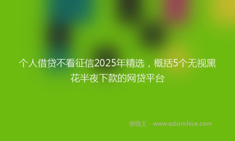个人借贷不看征信2025年精选，概括5个无视黑花半夜下款的网贷平台
