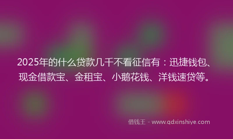 2025年的什么贷款几千不看征信有：迅捷钱包、现金借款宝、金租宝、小鹅花钱、洋钱速贷等。