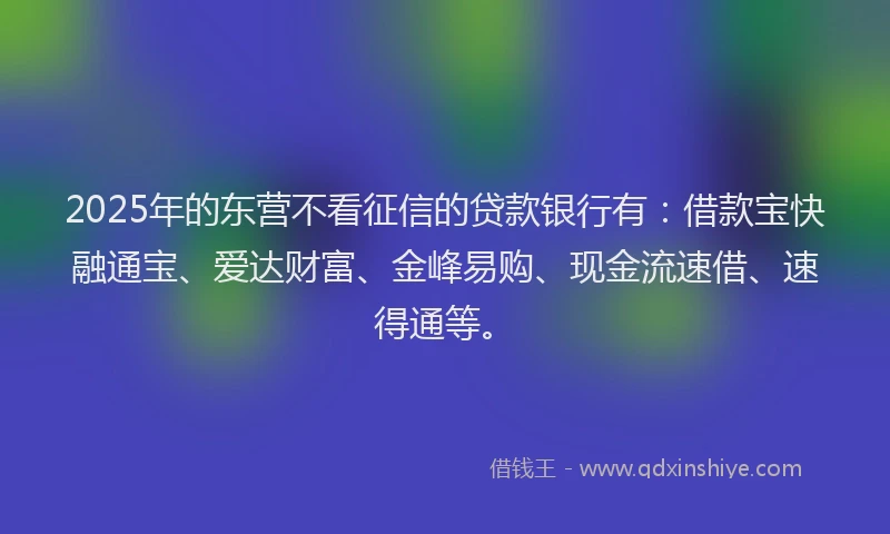 2025年的东营不看征信的贷款银行有：借款宝快融通宝、爱达财富、金峰易购、现金流速借、速得通等。