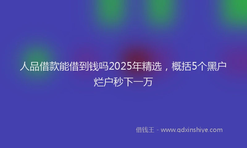 人品借款能借到钱吗2025年精选，概括5个黑户烂户秒下一万
