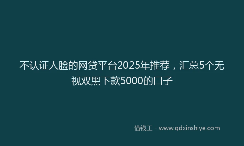 不认证人脸的网贷平台2025年推荐，汇总5个无视双黑下款5000的口子
