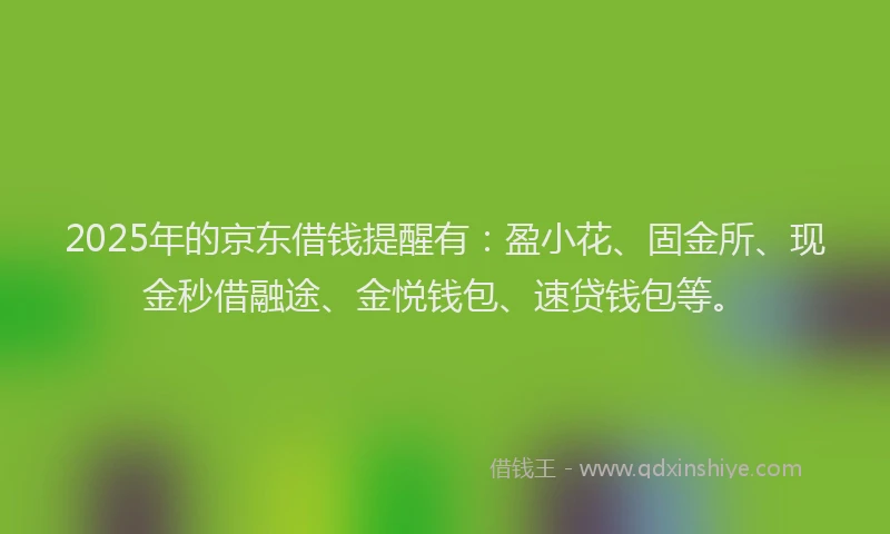 2025年的京东借钱提醒有：盈小花、固金所、现金秒借融途、金悦钱包、速贷钱包等。