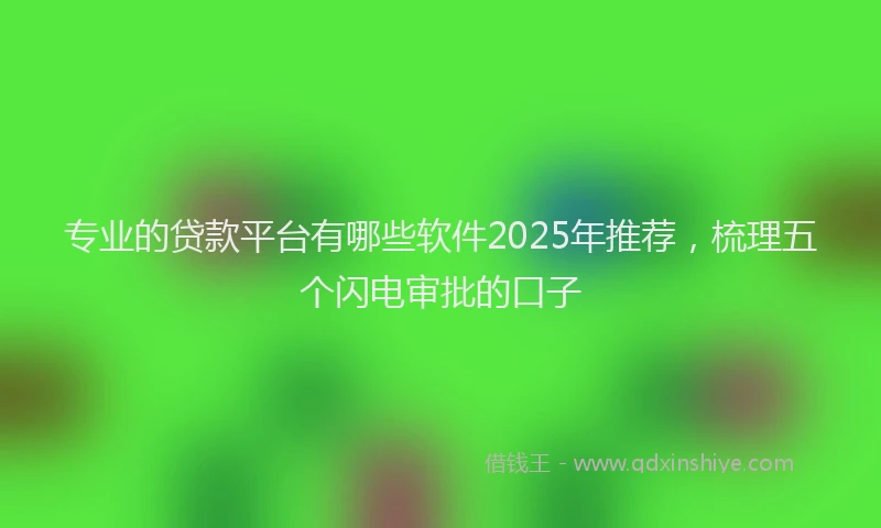 专业的贷款平台有哪些软件2025年推荐，梳理五个闪电审批的口子