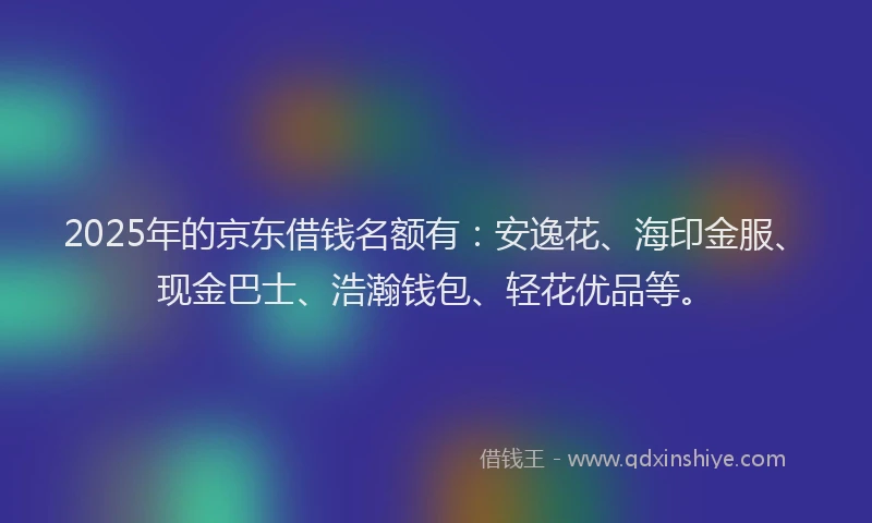 2025年的京东借钱名额有：安逸花、海印金服、现金巴士、浩瀚钱包、轻花优品等。
