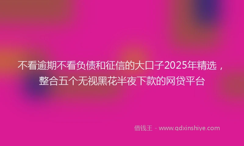 不看逾期不看负债和征信的大口子2025年精选，整合五个无视黑花半夜下款的网贷平台