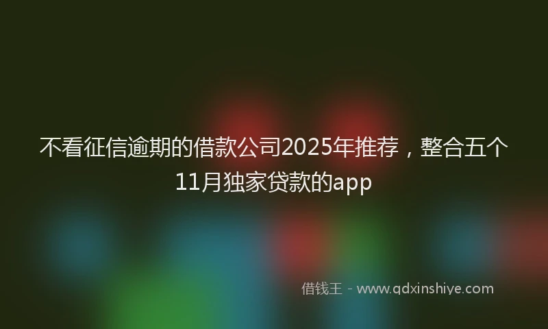 不看征信逾期的借款公司2025年推荐，整合五个11月独家贷款的app