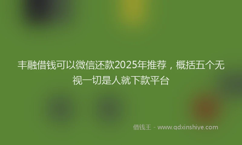 丰融借钱可以微信还款2025年推荐，概括五个无视一切是人就下款平台