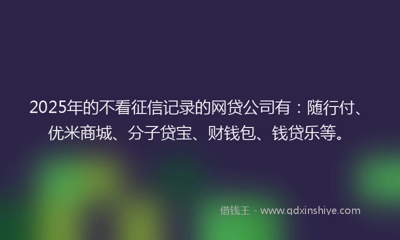 2025年的不看征信记录的网贷公司有：随行付、优米商城、分子贷宝、财钱包、钱贷乐等。