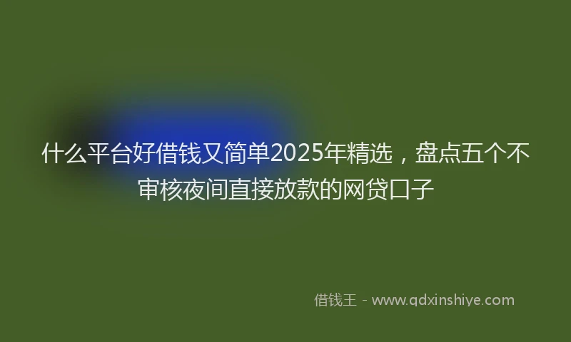 什么平台好借钱又简单2025年精选，盘点五个不审核夜间直接放款的网贷口子
