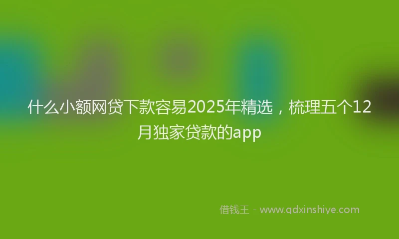 什么小额网贷下款容易2025年精选，梳理五个12月独家贷款的app