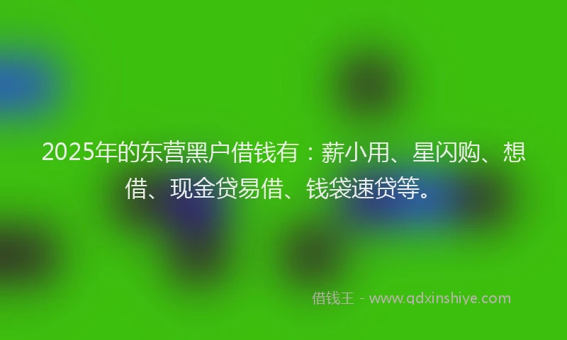 2025年的东营黑户借钱有：薪小用、星闪购、想借、现金贷易借、钱袋速贷等。