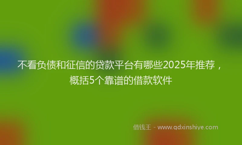 不看负债和征信的贷款平台有哪些2025年推荐，概括5个靠谱的借款软件