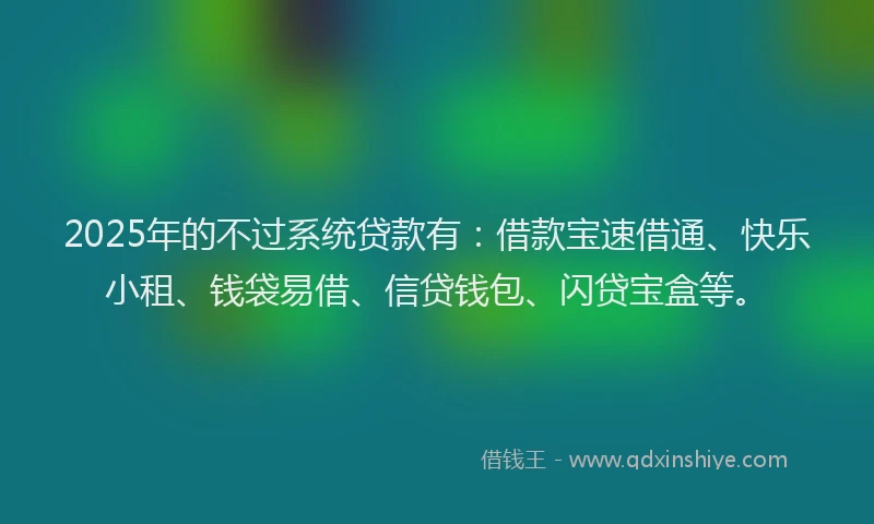 2025年的不过系统贷款有：借款宝速借通、快乐小租、钱袋易借、信贷钱包、闪贷宝盒等。