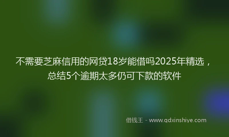 不需要芝麻信用的网贷18岁能借吗2025年精选，总结5个逾期太多仍可下款的软件