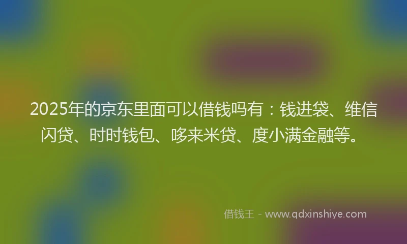 2025年的京东里面可以借钱吗有：钱进袋、维信闪贷、时时钱包、哆来米贷、度小满金融等。