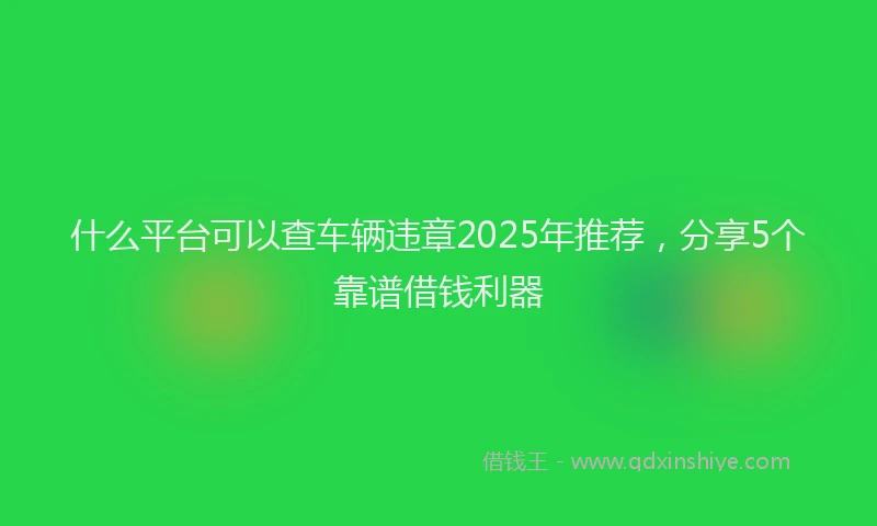 什么平台可以查车辆违章2025年推荐，分享5个靠谱借钱利器