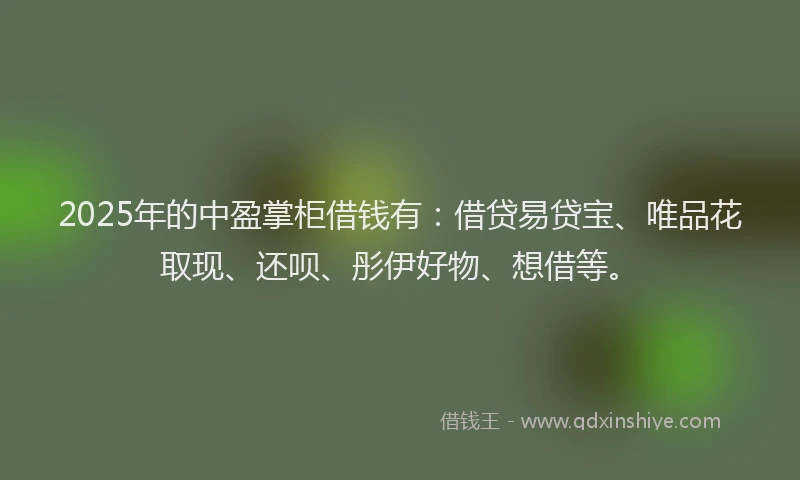 2025年的中盈掌柜借钱有：借贷易贷宝、唯品花取现、还呗、彤伊好物、想借等。