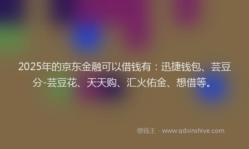 2025年的京东金融可以借钱有：迅捷钱包、芸豆分-芸豆花、天天购、汇火佑金、想借等。