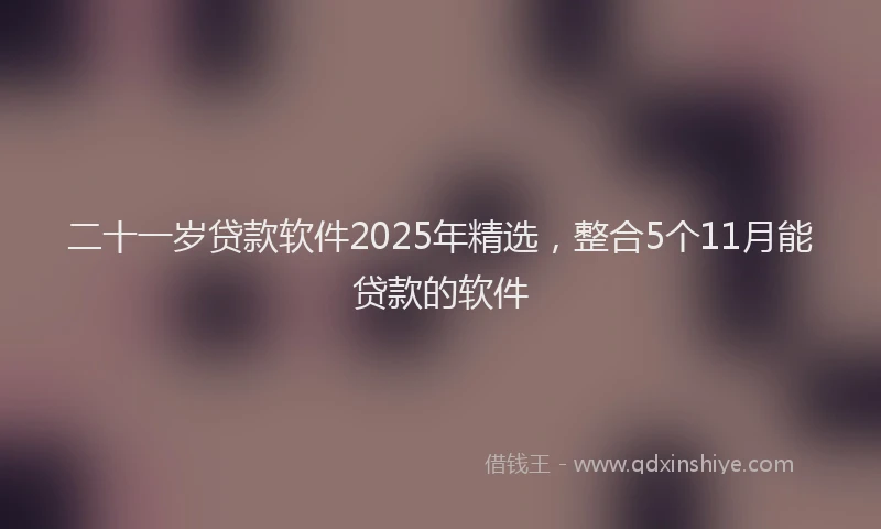 二十一岁贷款软件2025年精选，整合5个11月能贷款的软件