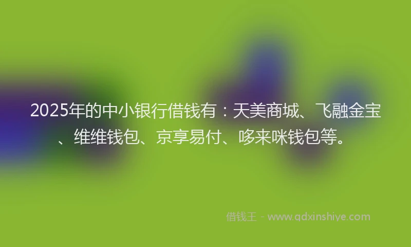 2025年的中小银行借钱有：天美商城、飞融金宝、维维钱包、京享易付、哆来咪钱包等。