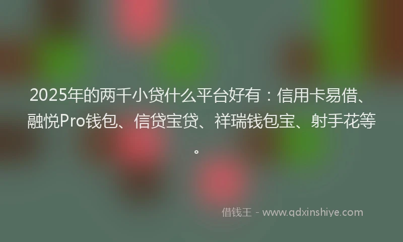 2025年的两千小贷什么平台好有：信用卡易借、融悦Pro钱包、信贷宝贷、祥瑞钱包宝、射手花等。