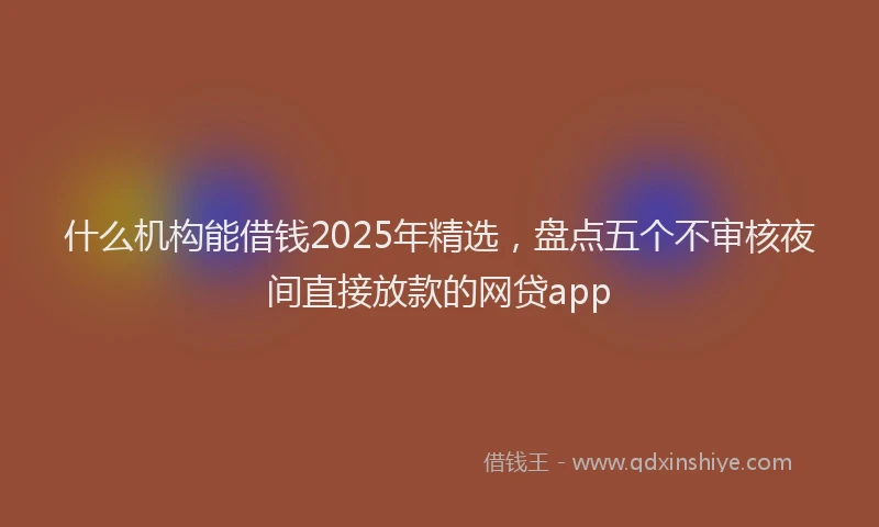 什么机构能借钱2025年精选，盘点五个不审核夜间直接放款的网贷app